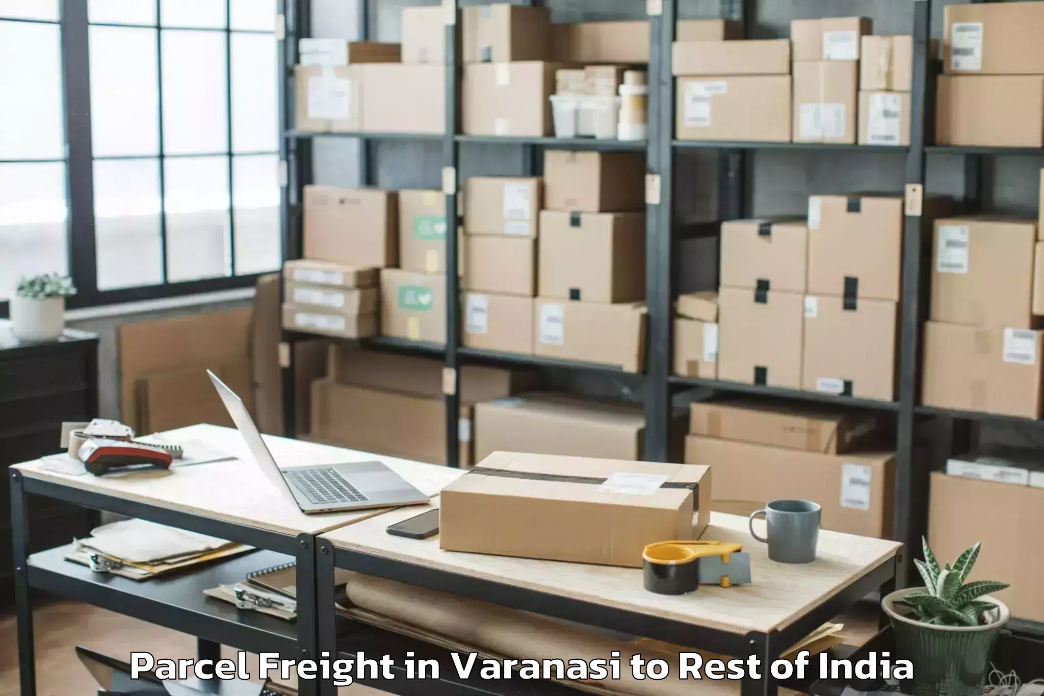 Top Varanasi to Sher I Kashmir Institute Of Me Parcel Freight Available